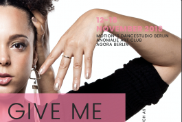 House Of Saint Laurent